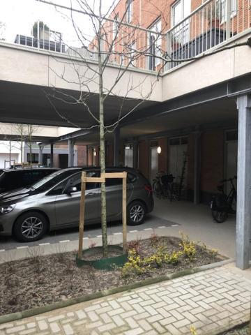 Benb Op De Trans, Arnhem Op Zijn Best! Exteriör bild